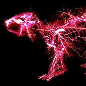 并木塔子义寝未亡人最经典的一部
